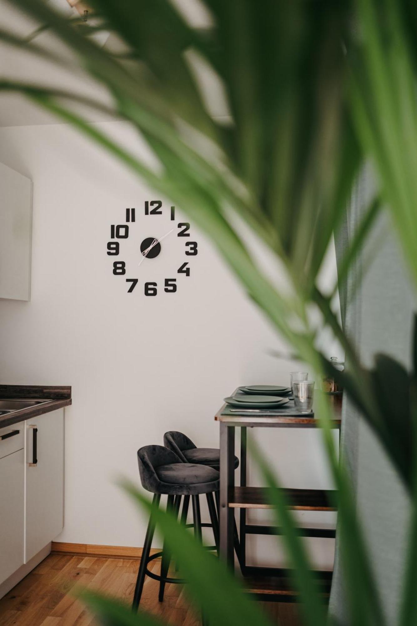 דרזדן Neue Wohnung Im Zentrum מראה חיצוני תמונה