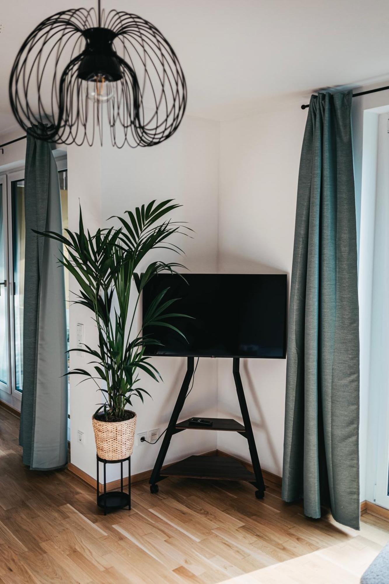 דרזדן Neue Wohnung Im Zentrum מראה חיצוני תמונה